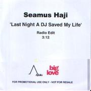 Seamus Haji - Last Night A DJ Saved My Life