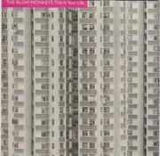 The Blow Monkeys - This Is Your Life