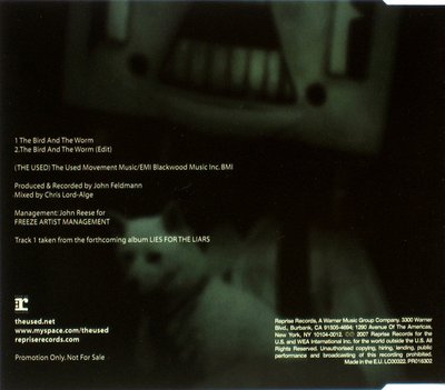 The Bird And The Worm