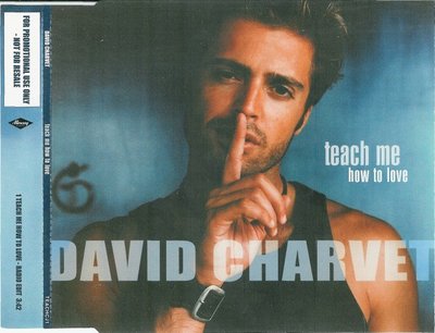 Teach Me How To Love