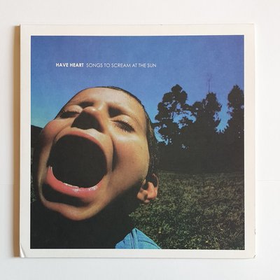 Songs To Scream At The Sun