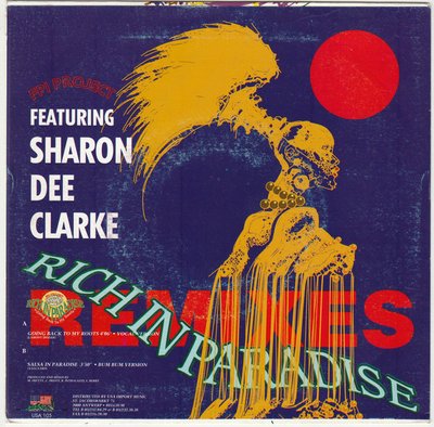 Rich In Paradise "Going Back To My Roots" (Remixes)