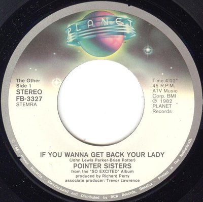 I'm So Excited / If You Wanna Get Back Your Lady