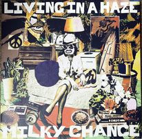 Living In A Haze