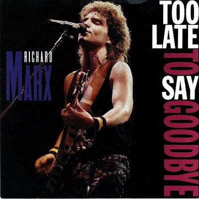 Too Late To Say Goodbye